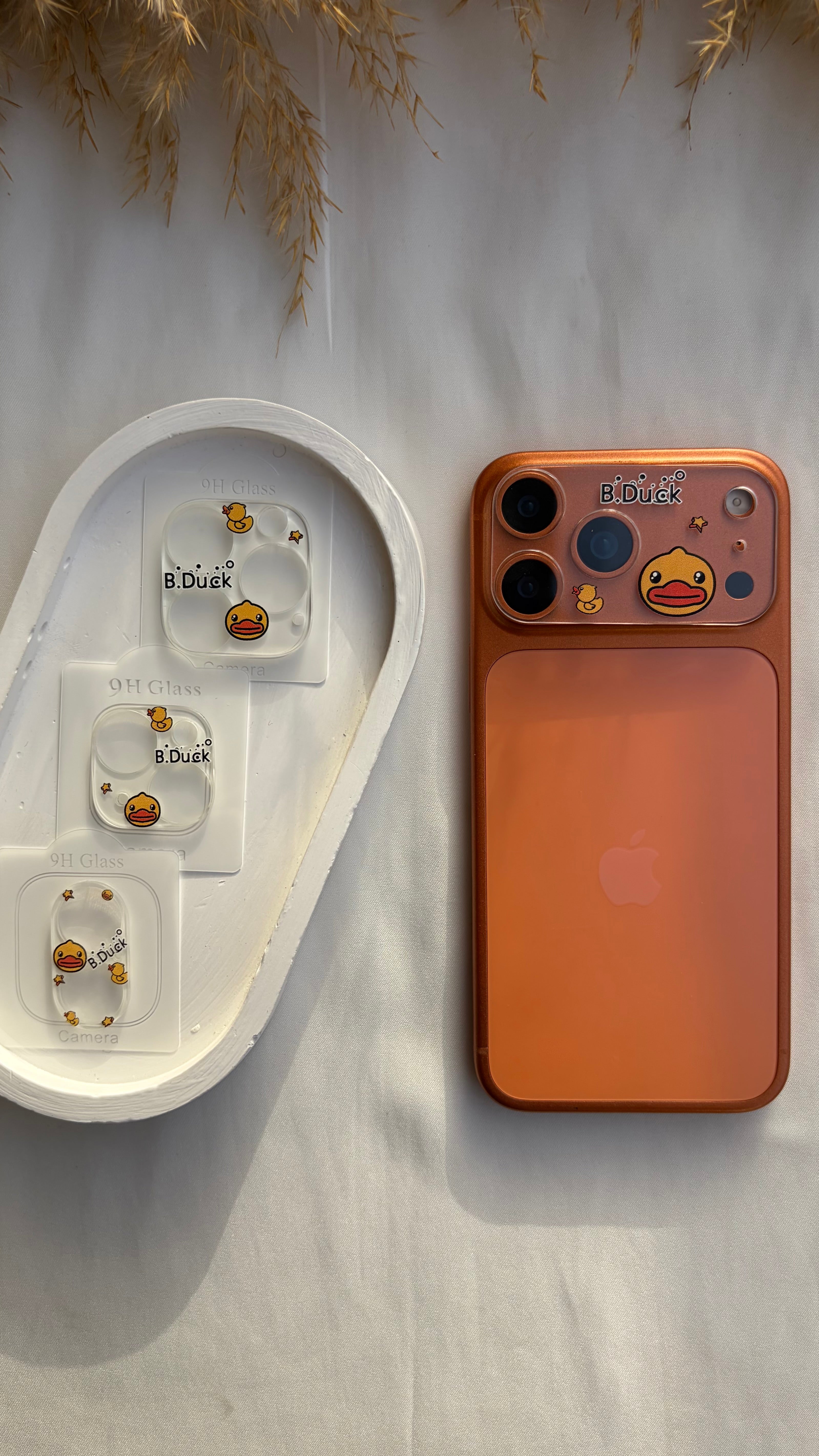 Basic Printed Lens Protector