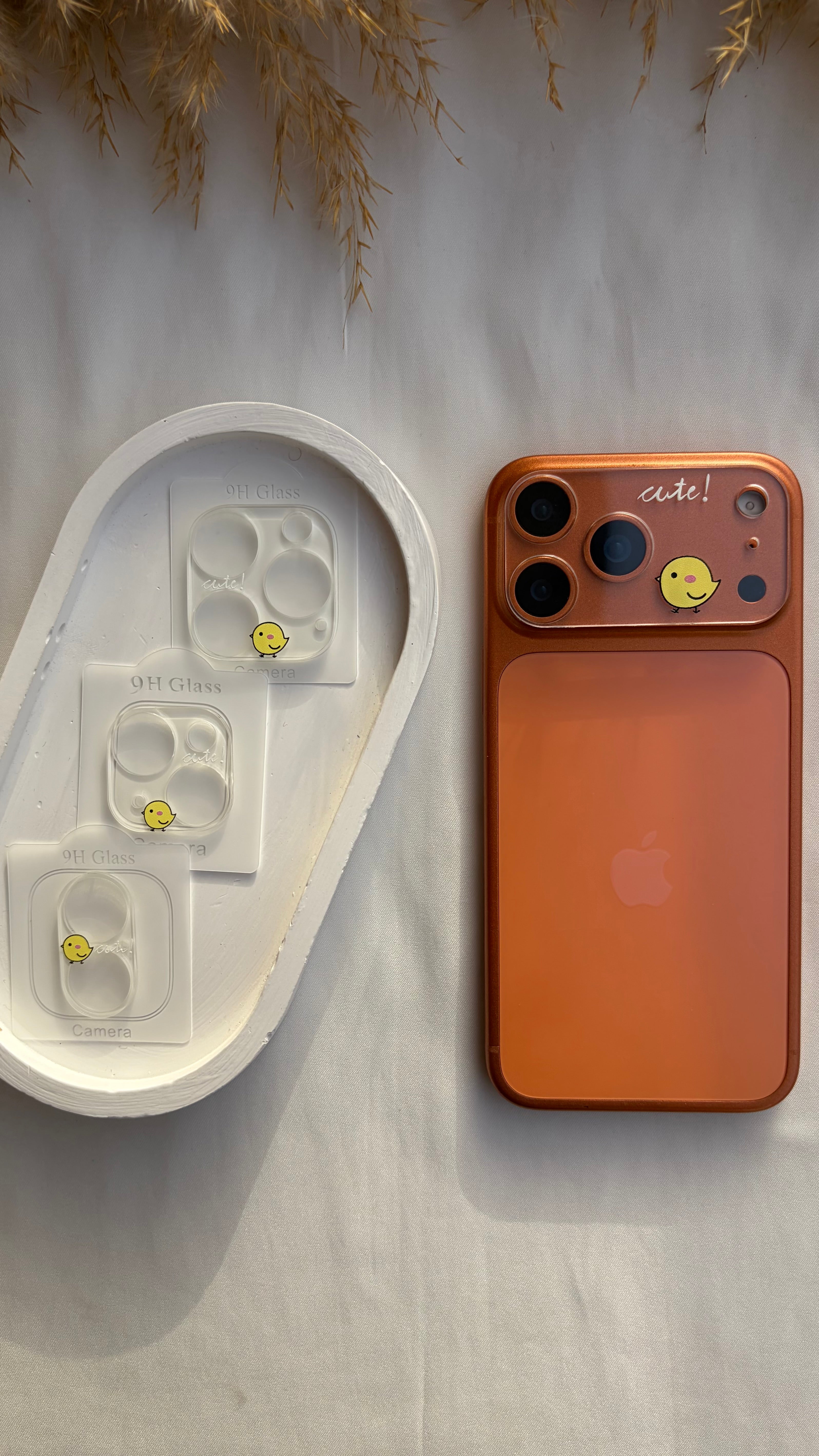 Basic Printed Lens Protector