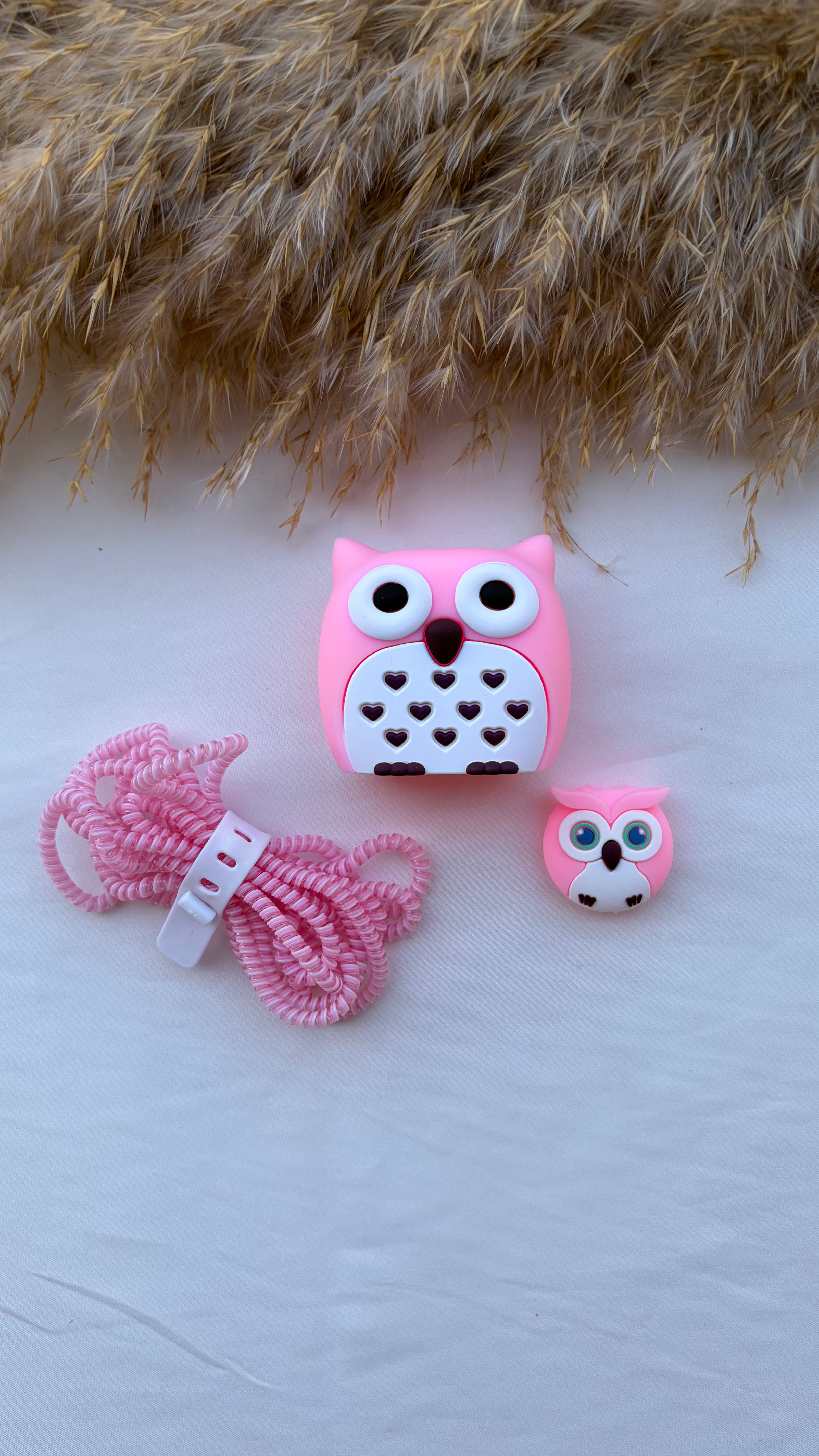 Charger Protector 2 Pins