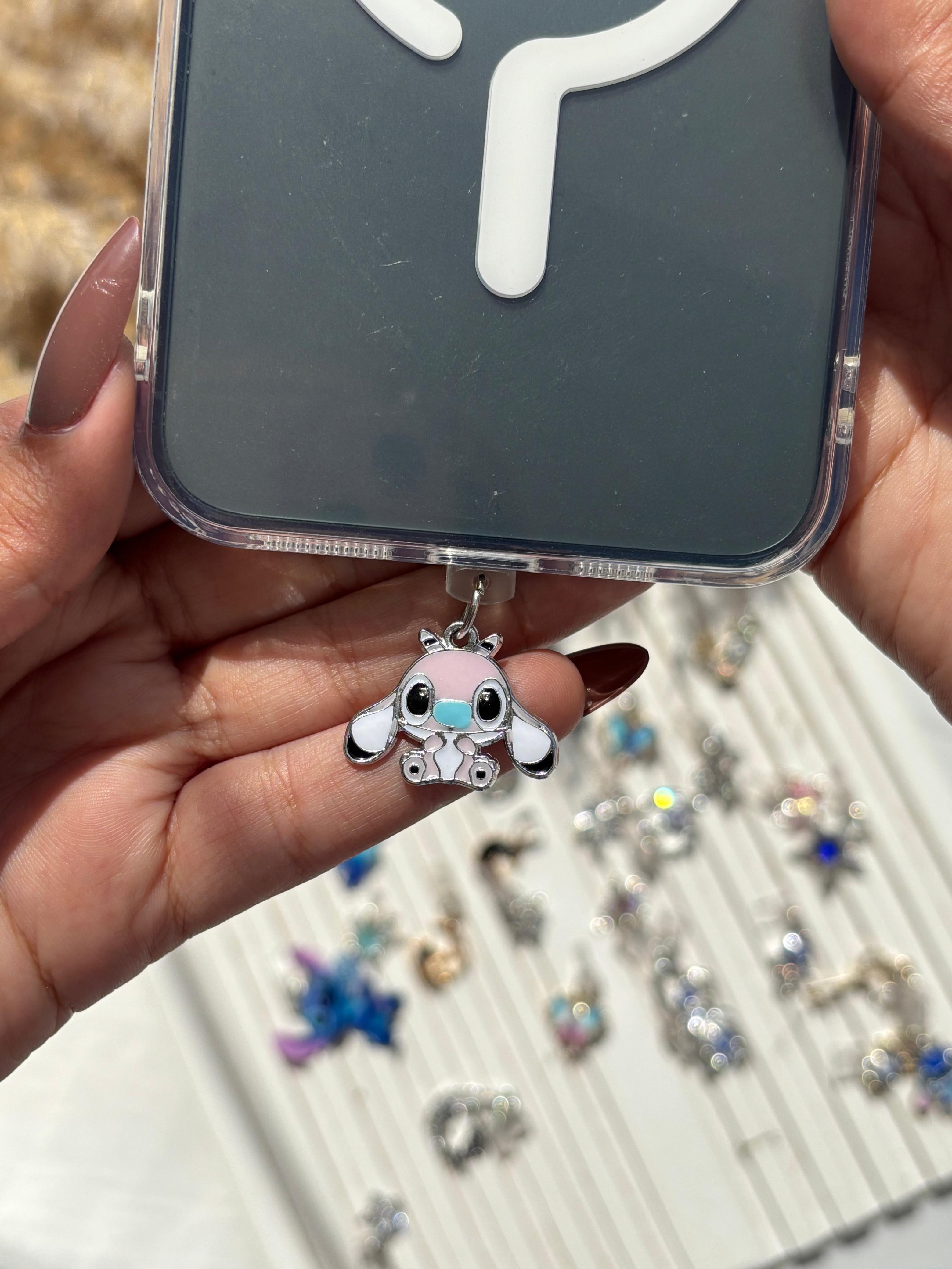 Charger Port Accessories