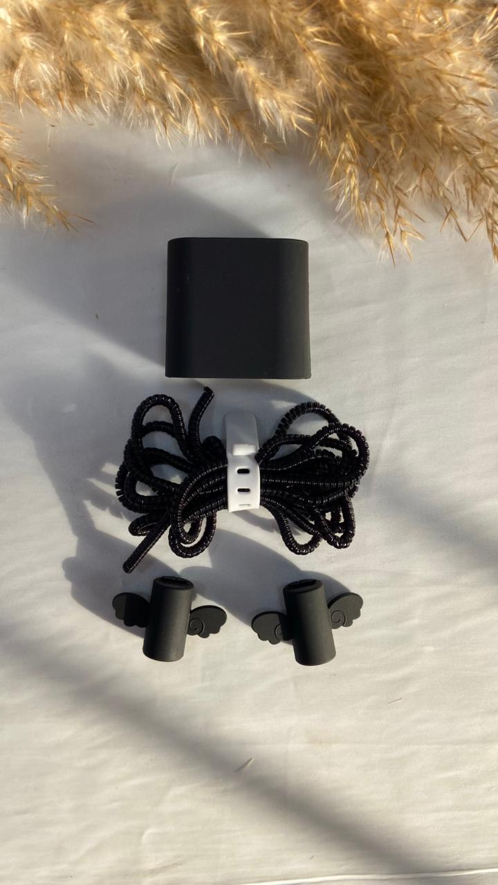 Basic 2pin charger protector