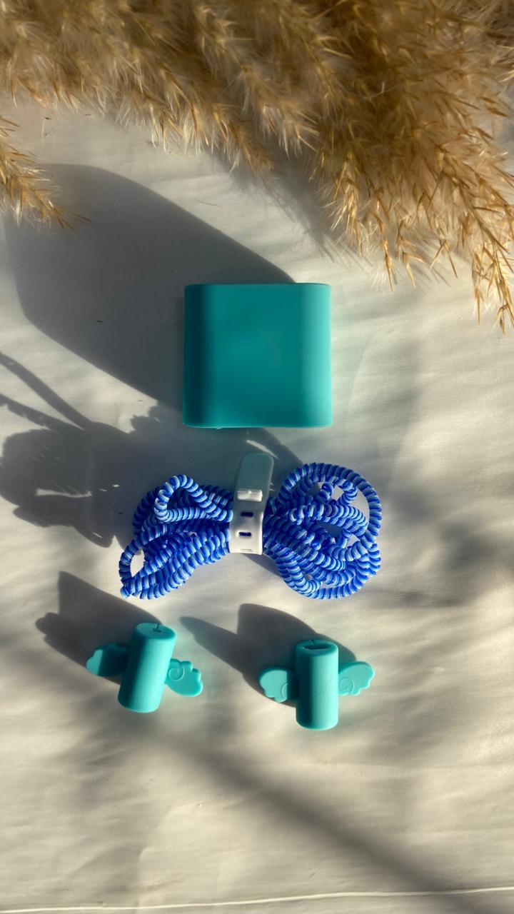 Basic 2pin charger protector