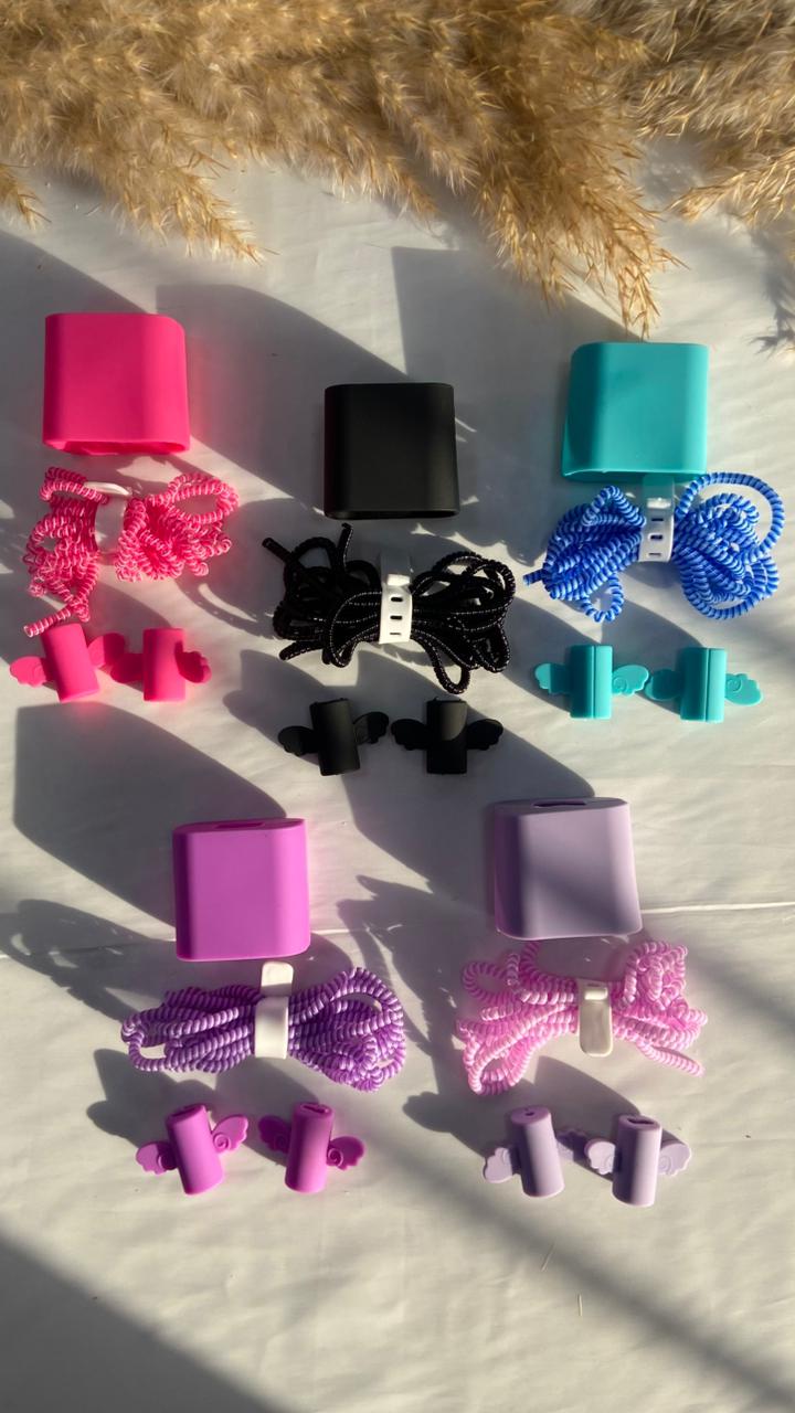 Basic 2pin charger protector