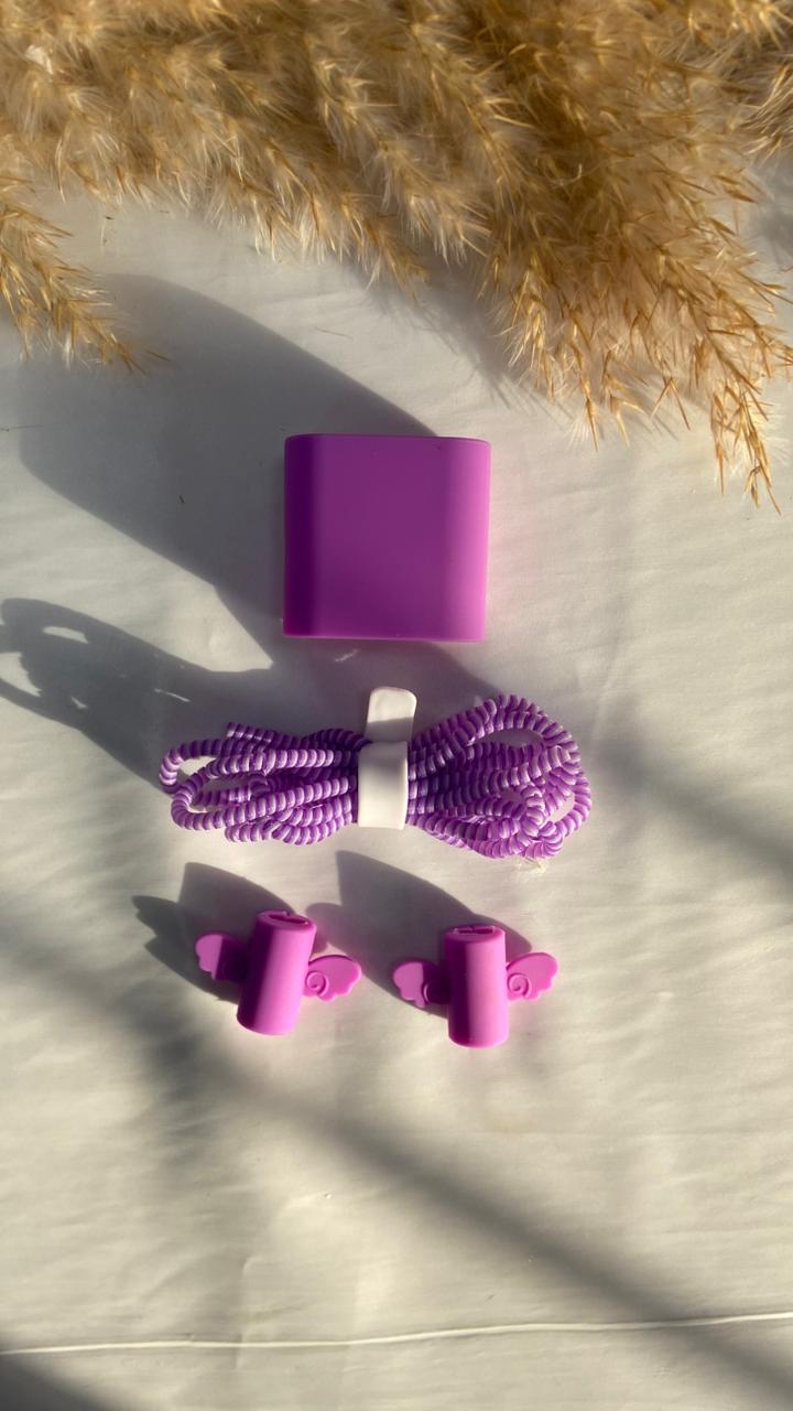 Basic 2pin charger protector