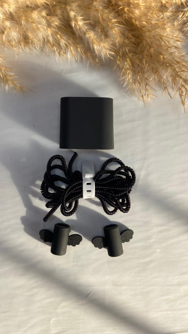 Basic 2pin charger protector